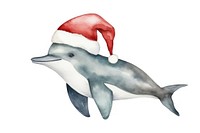 Dolphin christmas animal cartoon mammal. 