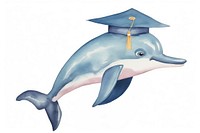 Dolphin student animal cartoon mammal. 