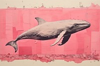 Pink whale painting dolphin animal. 