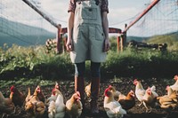 Farmer with chickens, farming photo. AI generated image by rawpixel.