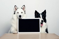Tablet dog computer mammal. AI generated Image by rawpixel.