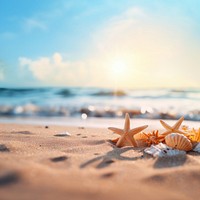 Summer beach sea outdoors. 