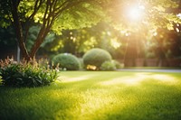 Tree landscape sunlight outdoors. AI generated Image by rawpixel.