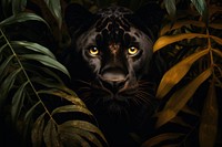 Black panther wildlife outdoors leopard. AI generated Image by rawpixel.