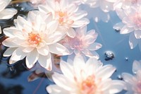 Summer flowers backgrounds outdoors blossom. AI generated Image by rawpixel.