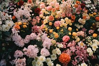 Flowers garden outdoors blossom nature. AI generated Image by rawpixel.