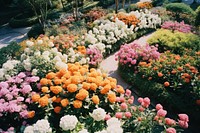 Flowers garden outdoors nature spring. AI generated Image by rawpixel.