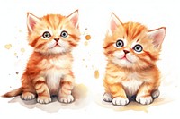 Baby cat cute animal drawing mammal. 