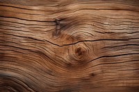 Texture wood backgrounds hardwood.