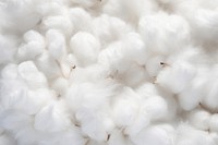 Cotton fiber texture backgrounds cotton white. AI generated Image by rawpixel.