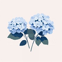 Hydrangea flower plant leaf. 