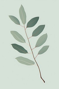 Eucalyptus leaf plant tree annonaceae. AI generated Image by rawpixel.