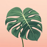 Monstera leafs plant xanthosoma outdoors. AI generated Image by rawpixel.