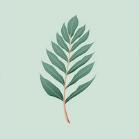 Botanical leaf plant herbs astragalus. AI generated Image by rawpixel.