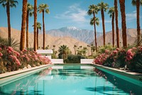 Palm spring tree architecture outdoors. 