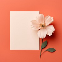 Blank paper with a delicate flower on a coral background. The flower and paper create a soft, elegant composition. Flower and paper on coral, simple and serene.