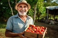 Elderly man with a beard holding a box of tomatoes. Smiling farmer with tomatoes in a wooden box. Outdoors in a garden, enjoying a bountiful tomato harvest.