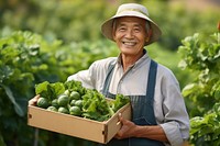 Happy old asian gardening vegetable outdoors. 