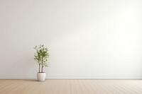 Minimalist interior wall architecture plant. 