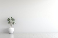 Minimalist interior wall architecture plant. 