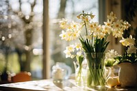 Spring time windowsill daffodil blossom. 