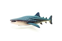 Shark animal fish white background. AI generated Image by rawpixel.