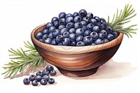 Bowl blueberry fruit plant. 