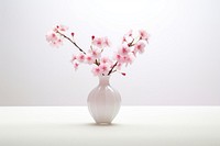 Cherry blossom flower vase plant white. AI generated Image by rawpixel.