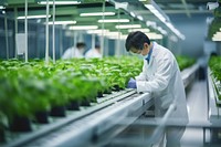 Scientist working adult farm. 