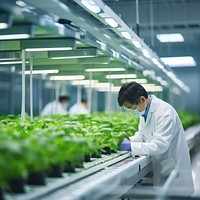 Scientist working adult farm. 