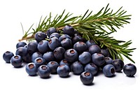 Juniper berries blueberry fruit plant. AI generated Image by rawpixel.