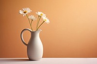 Daisy jug flower plant vase. 