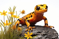 Salamander amphibian wildlife animal. AI generated Image by rawpixel.