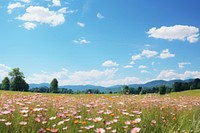 Meadow flower sky wildflower. AI generated Image by rawpixel.