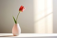 Tulip vase windowsill flower. 