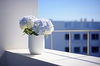 Hydrangeas balcony architecture windowsill. 