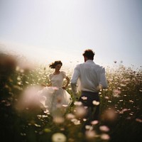 Wedding flower field landscape. 