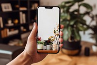 Smartphone screen with houseplant wallpaper