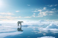 Ice plate bear landscape wildlife. AI generated Image by rawpixel.