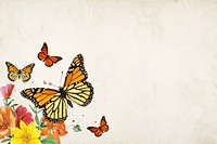 Old paper textured background, colorful butterfly border