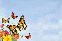 Blue sky background, colorful butterfly border