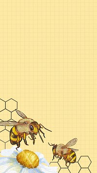 Yellow grid patterned iPhone wallpaper, bees border
