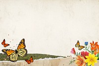 Old paper textured background, colorful butterfly border