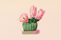 Cute cactus flower, botanical illustration