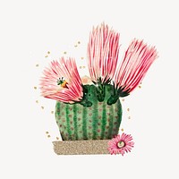 Cactus flower, botanical creative remix