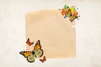 Aesthetic butterflies, note paper remix