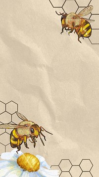 Wrinkled paper textured iPhone wallpaper, bees border