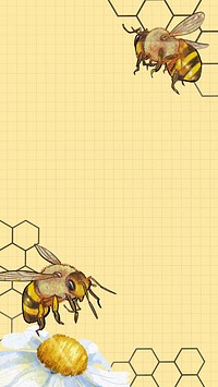 Wrinkled paper textured iPhone wallpaper, bees border