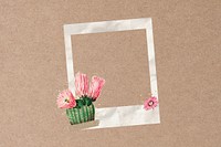 Cactus flower  instant film frame, creative remix