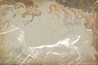The Birth of Venus painting with plastic wrap effect